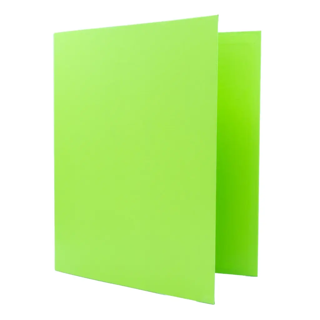 CARPETA RAYLU PAPER FOLIO 2 ANILLAS 40MM VERDE CLARO CARTÓN FORRADO PP 