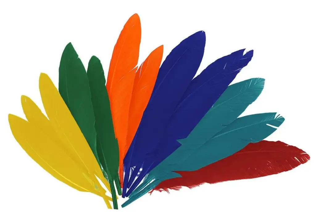 PLUMAS INDIO SURT.25MMX140MM.60UN