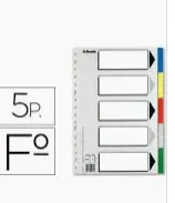 SEPARADORES Fº 5 POSICIONES PLASTICO ESSELTE 