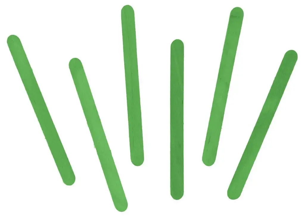 PALO DE POLO VERDE 50UD    