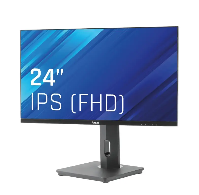 Monitor 24" VGA HDMI 120Hz pivotante AA MM