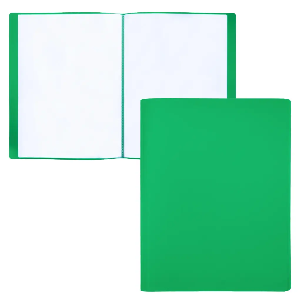 CARPETA DE FUNDAS RAYLU PAPER PREMIUM A4 10 FUNDAS VERDE
