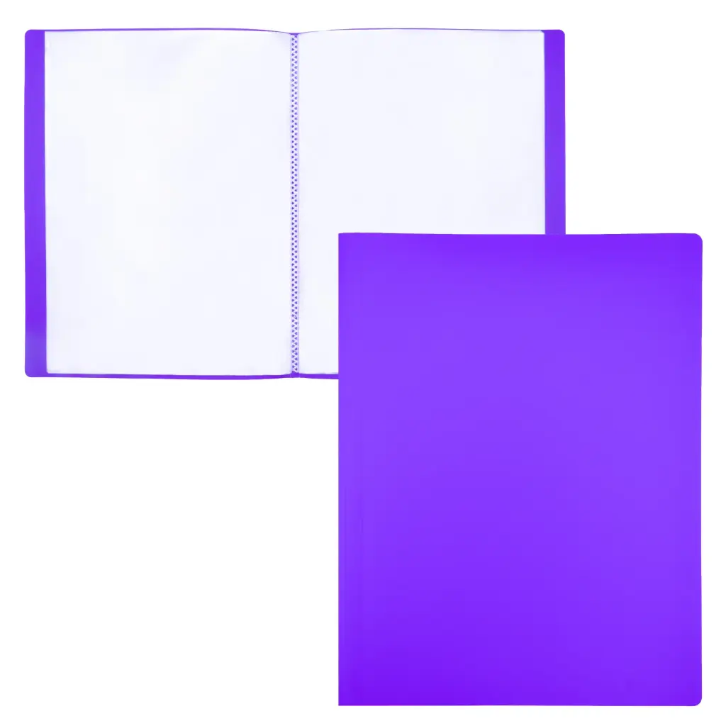 CARPETA DE FUNDAS RAYLU PAPER PREMIUM A4 30 FUNDAS VIOLETA