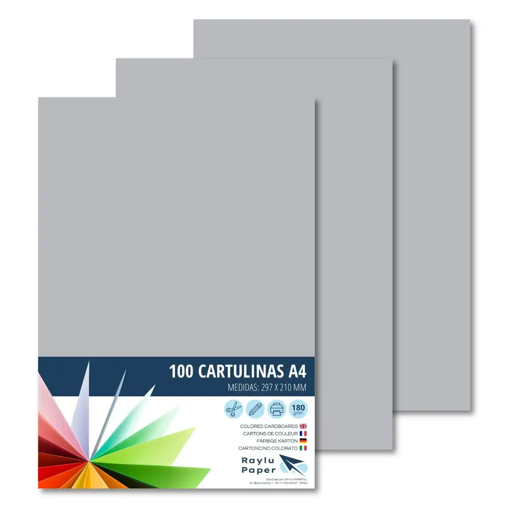 CARTULINA RAYLU PAPER A4 180 g/m² GRIS CLARO 