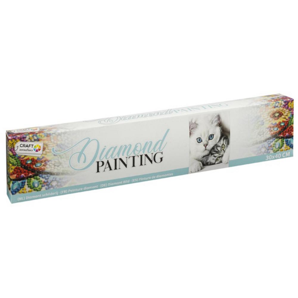 RMS DIAMOND PAINTING TEMA GATOS – KIT COMPLETO 30X40 CM CON LÁPIZ, ACCESORIOS Y EXTRA DE DIAMANTES – ADULTOS Y PRINCIPIANTES