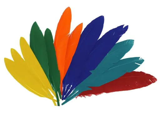 [826176] PLUMAS INDIO SURT.25MMX140MM.60UN