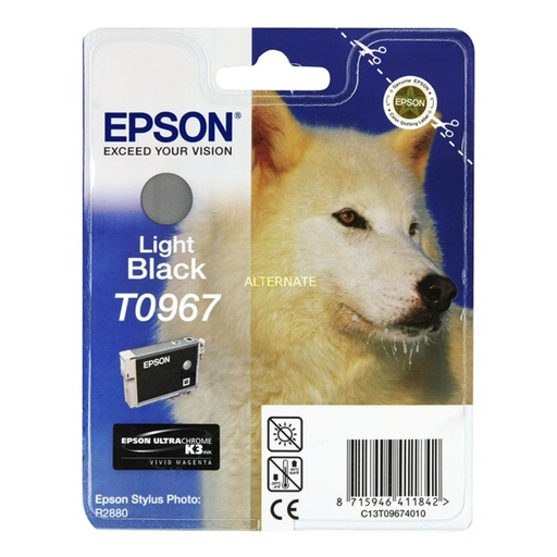 [165338] CARTUCHO EPSON C13T09674010 GRIS