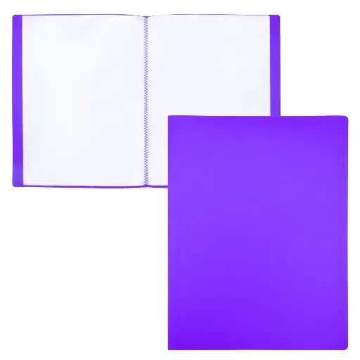 [180860] CARPETA DE FUNDAS RAYLU PAPER PREMIUM A4 10 FUNDAS VIOLETA