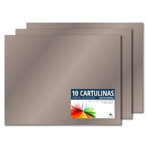 [630400] CARTULINA RAYLU  50×65CM 180 GRAMOS PLATA