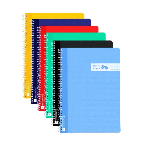 [005020] BLOC ESPIRAL A5 TAPA PLASTICO 80 HOJAS 90 GAMOS CUADRO 5MM RAYLU