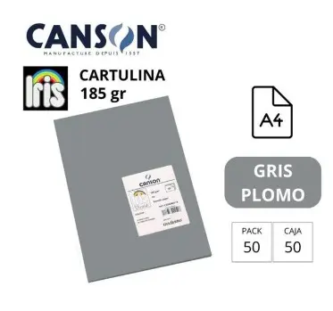 [649662] CARTULINA CANSON IRIS A4 185 GRAMOS GRIS PLOMO 