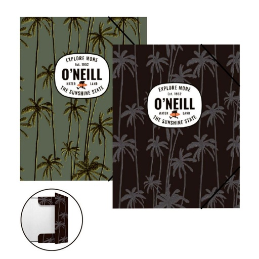 [835396] CARPETA CARTON SENF A4 G/S BOY